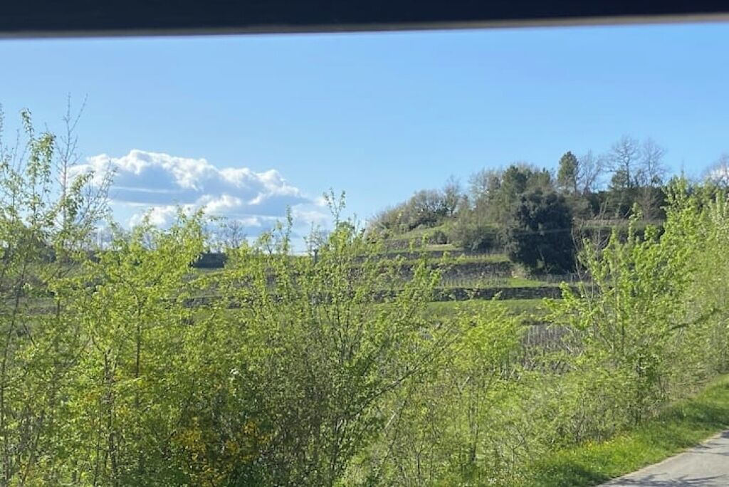 Un paysage rural avec un ciel dégagé, des arbres et une route.