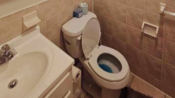 A bathroom with a toilet, sink, and mirror.