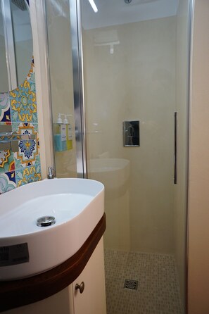 Shower, hair dryer, bidet, towels