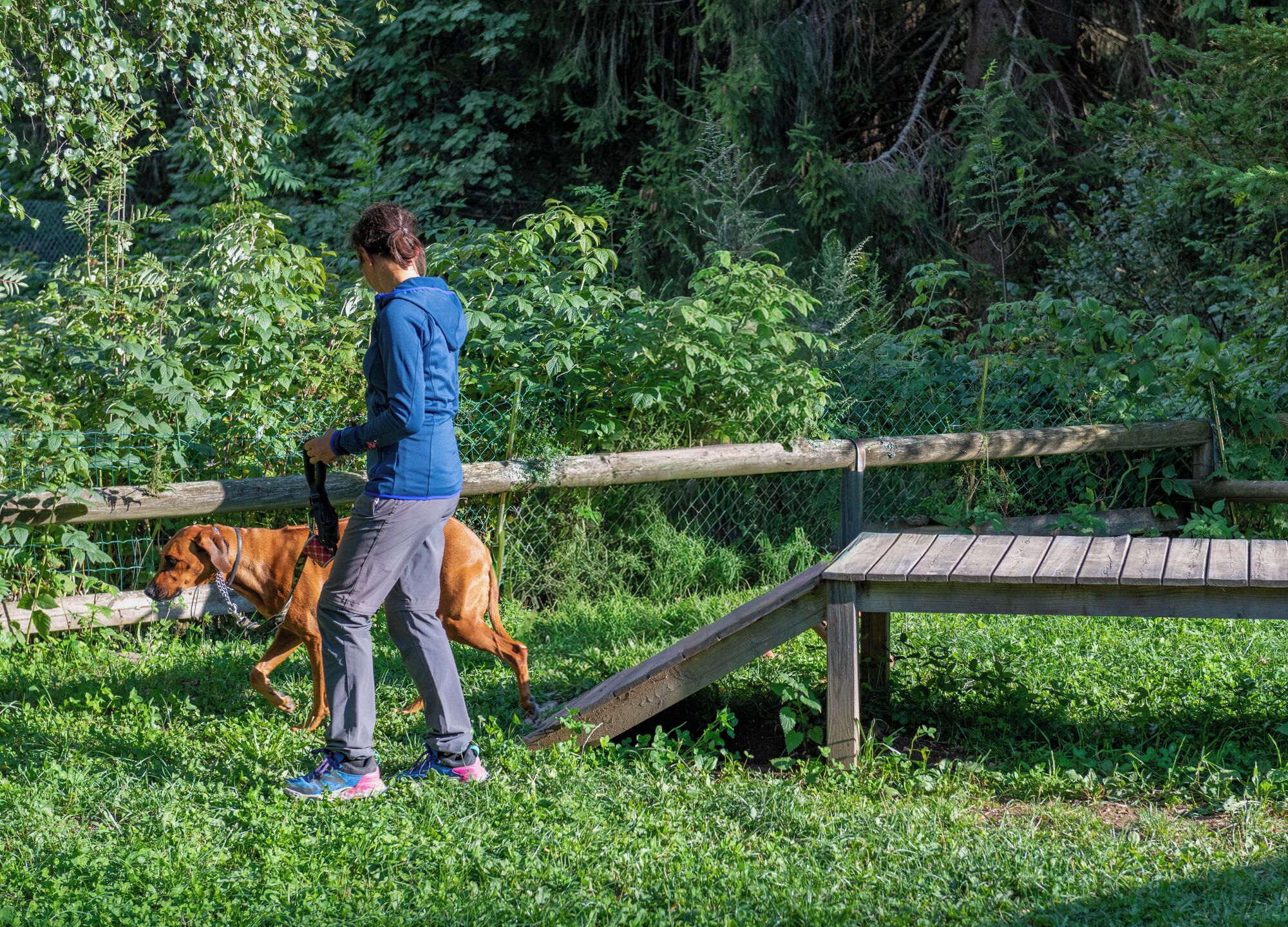 Una persona pasea un perro por un sendero cubierto de césped, con una valla de madera y un banco de madera al fondo.