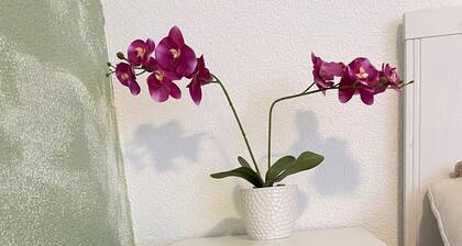 Apartment 'Neue Orchideen-apartments Im Haus' with Shared Garden, Balcony and Wi-Fi