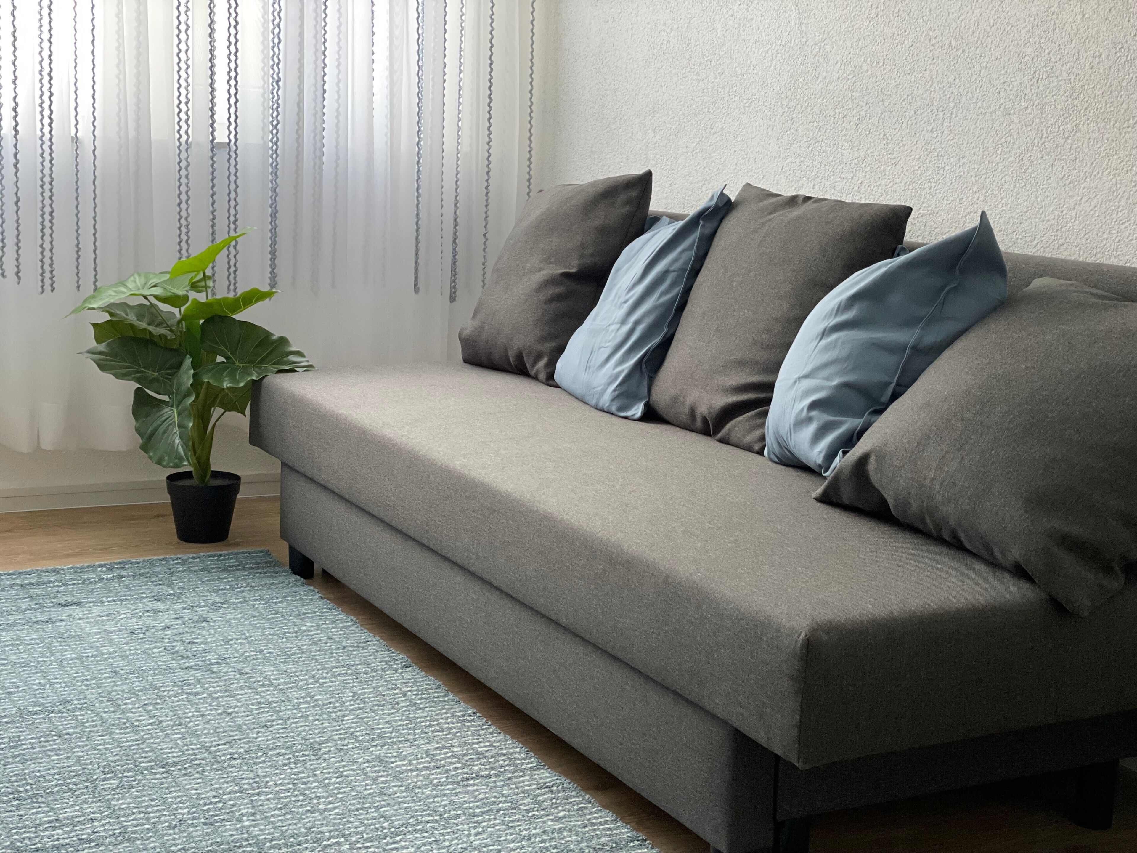 Fernseher