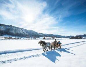 Snow and ski sports