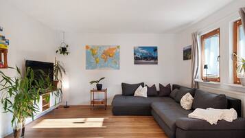 Fernseher, Stereoanlage