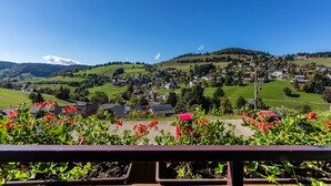 A rural landscape with houses, green fields, and a clear sky. - Haus Kehrwieder Apartment 3: Balcony, Mountain View, Hochschwarzwald Card, Wi-Fi, Parking (Todtnau)