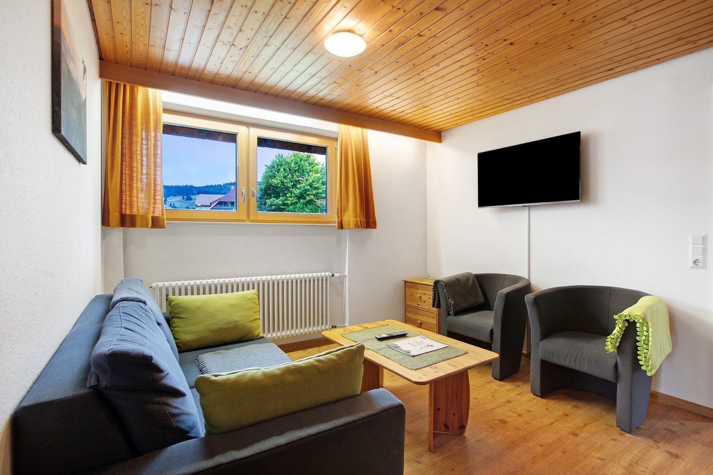 Fernseher, Tischtennisplatte