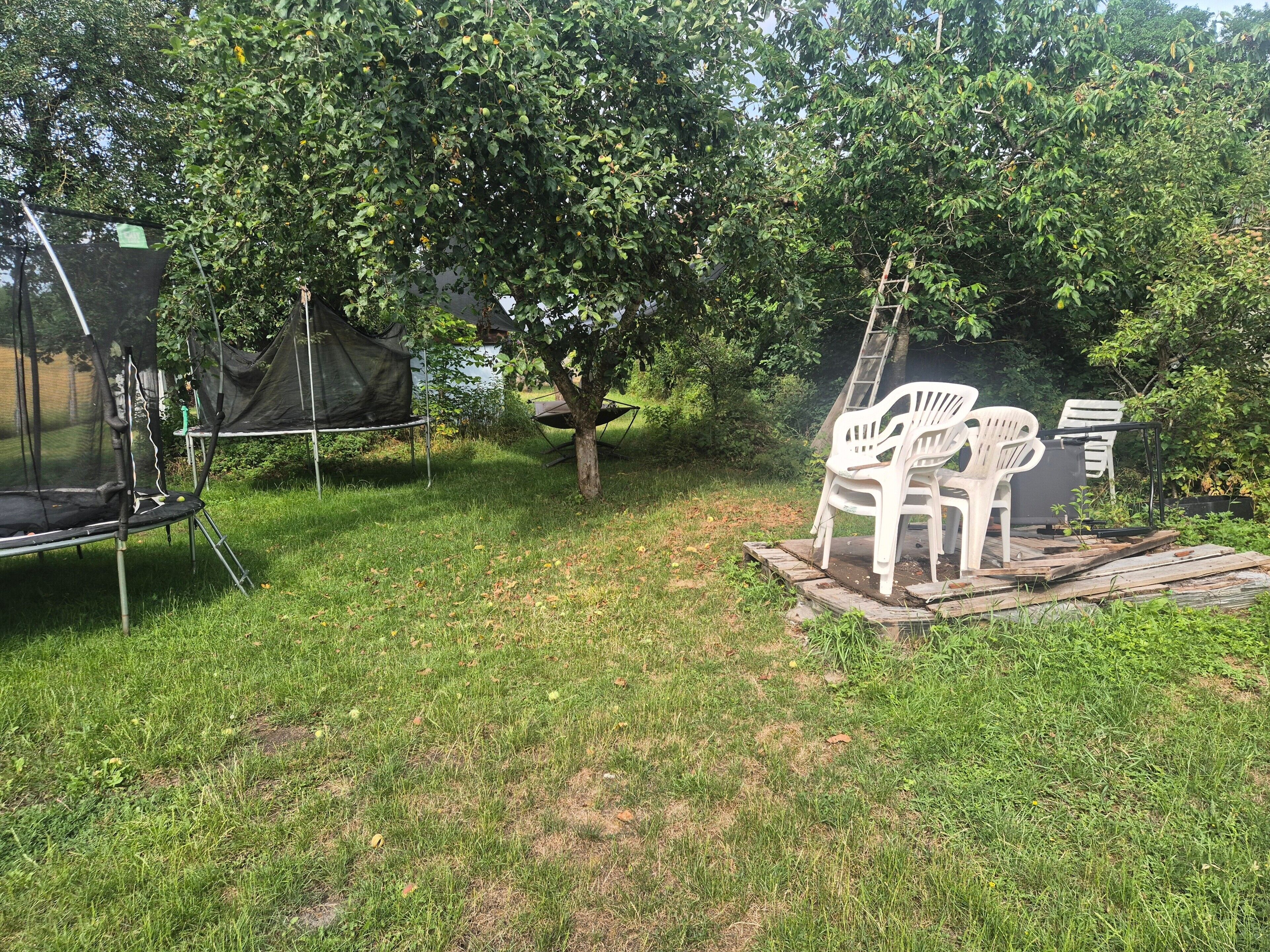 A grassy backyard with a trampoline, white plastic chairs, and a tree.