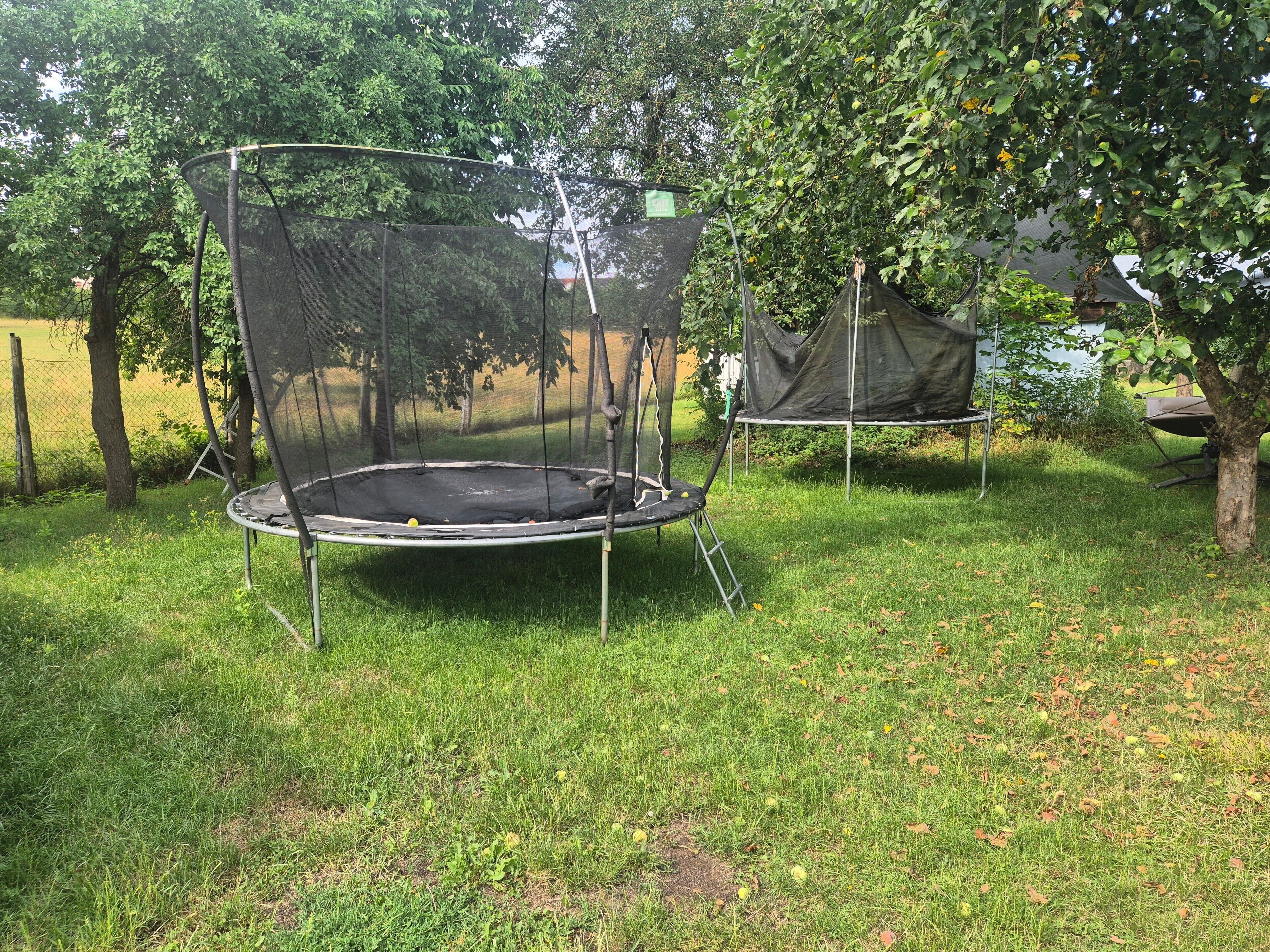 A trampoline with a safety net in a grassy yard.