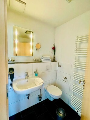 Shower, hair dryer, towels