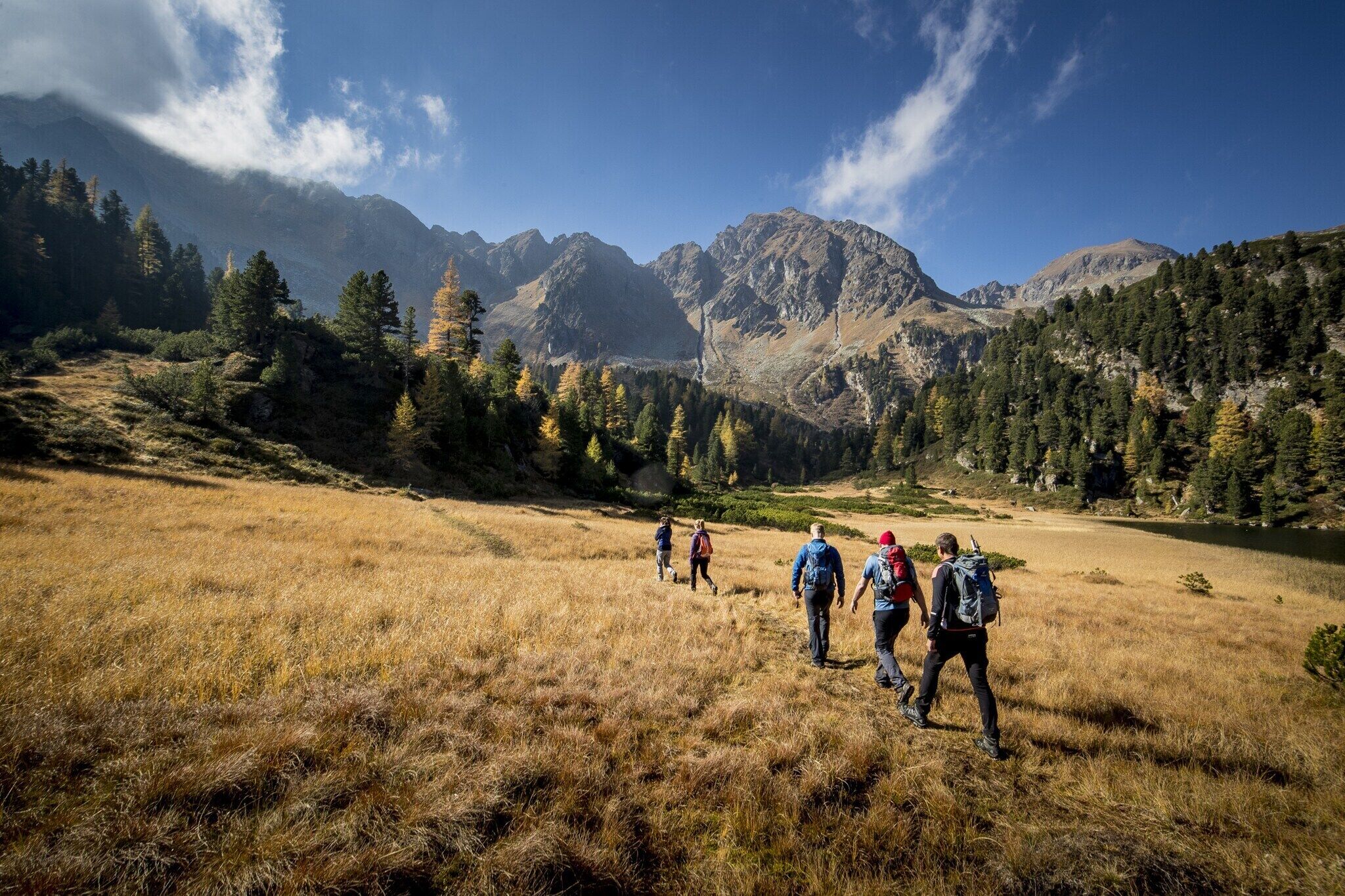 A group of hikers on a grassy trail with mountains in the background.