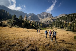 Un grupo de excursionistas caminando sobre un campo cubierto de hierba con montañas al fondo.