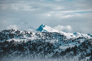A snow-covered mountain with a prominent peak, surrounded by dense forests and clouds.