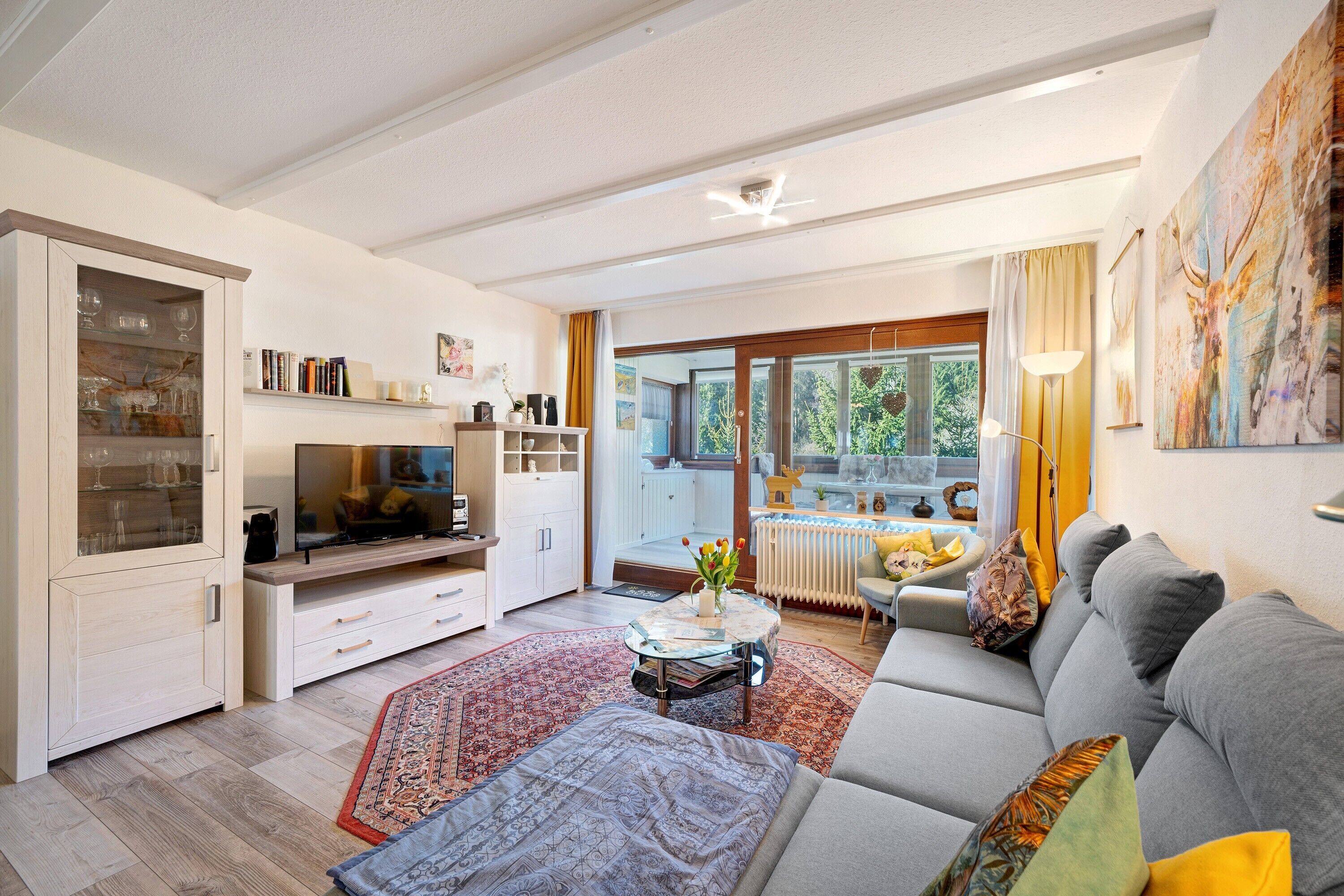 TV, DVD player, table tennis