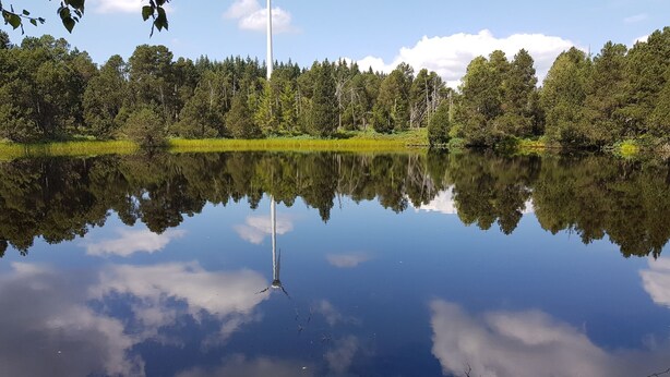 Et roligt søspejl med træers refleksioner og en klar himmel.