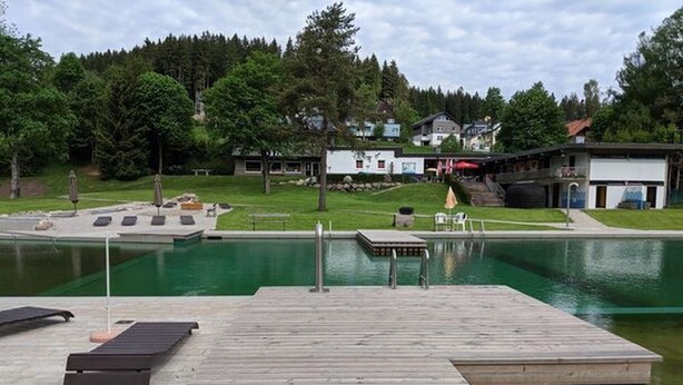 Une jetée en bois qui mène à une piscine, avec une zone herbeuse et des maisons en arrière-plan.