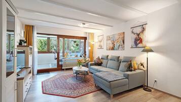 TV, DVD player, table tennis