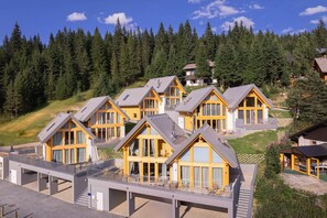 Exterior - Chalet in Lachtal with sauna (Lachtal)