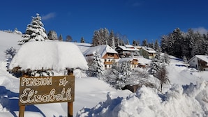 Paisaje nevado con un letrero de madera que dice 'PENSION Elisabeth' frente a una hilera de casas.