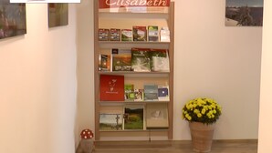 Een boekenplank met boeken en een kamerplant.