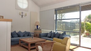 Télévision, cheminée, livres