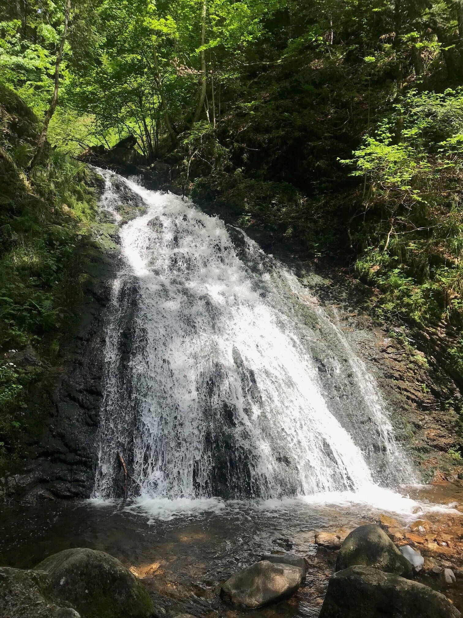 Uma cascata cercada por floresta densa.