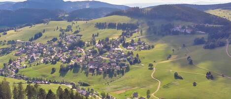 A rural village with houses, roads, and surrounding greenery.