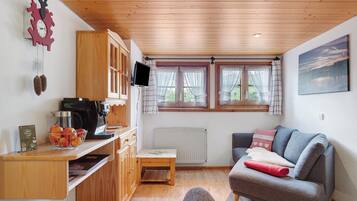 Fernseher, Stereoanlage