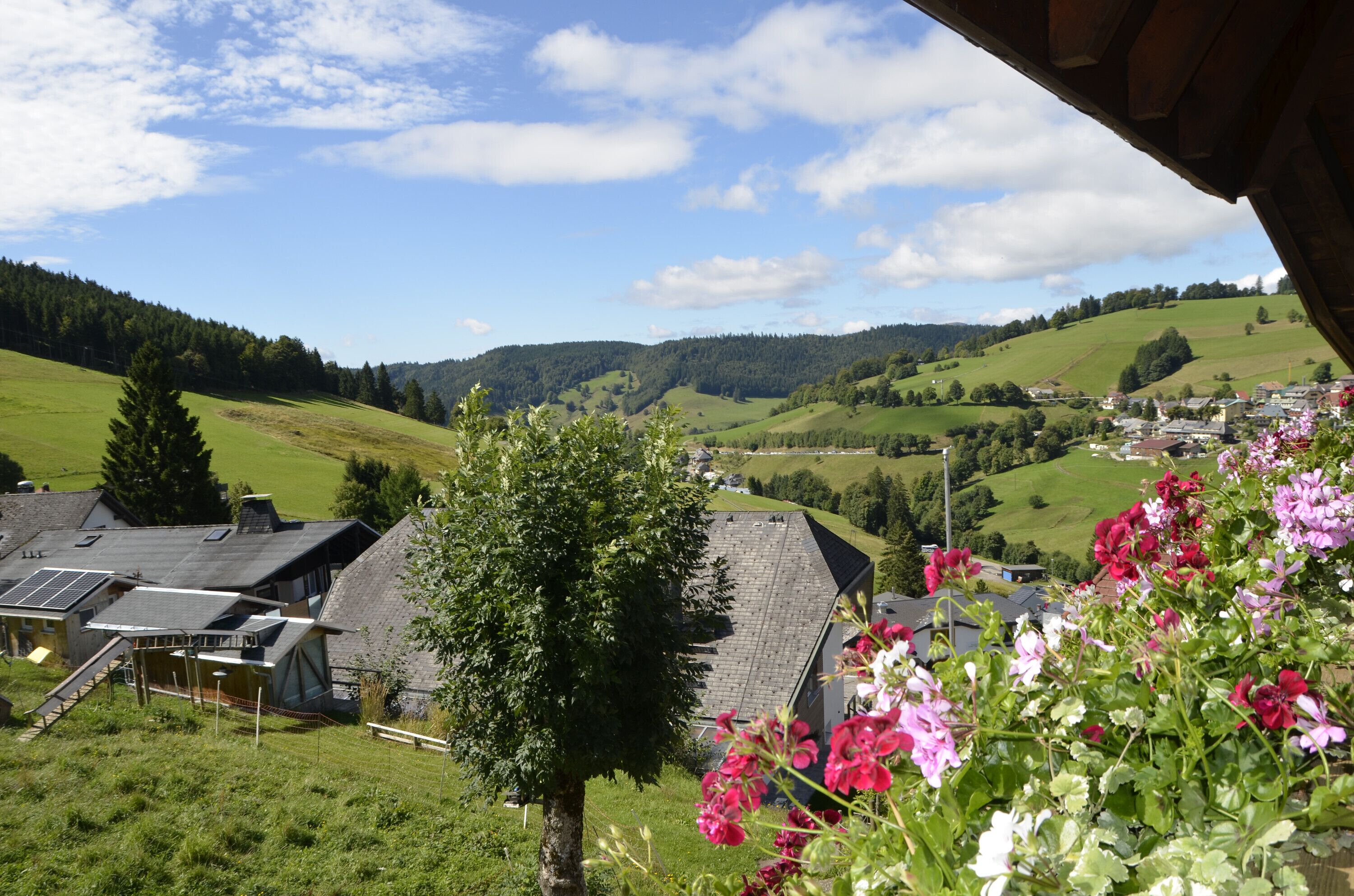 Blick von der Unterkunft