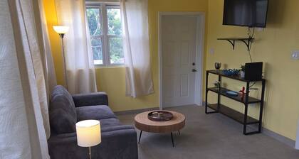 Prindsens Gade Cozy 1-bedroom apartment in lovely Charlotte Amalie with AC, WiFi