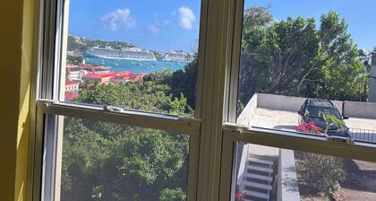 Prindsens Gade Cozy 1-bedroom apartment in lovely Charlotte Amalie with AC, WiFi