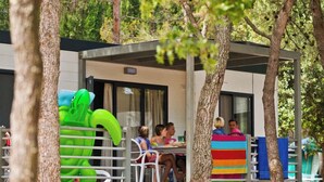 A covered outdoor seating area with tables and chairs, surrounded by trees. - Camping Lanterna - Eurocamp (Tar)