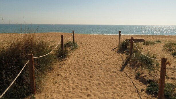 Strand