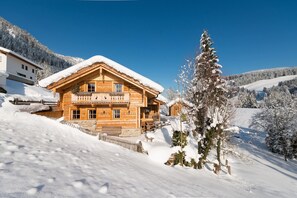 Exterior - Chalet in St. Martin with Sauna & Mountain Views (St. Martin am Tennengebirge)