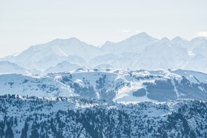 A panoramic view of snow-covered mountains with a forested valley.