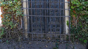 Een ijzeren hekwerk met decoratieve bovenkant, omringd door klimop en bakstenen muren.