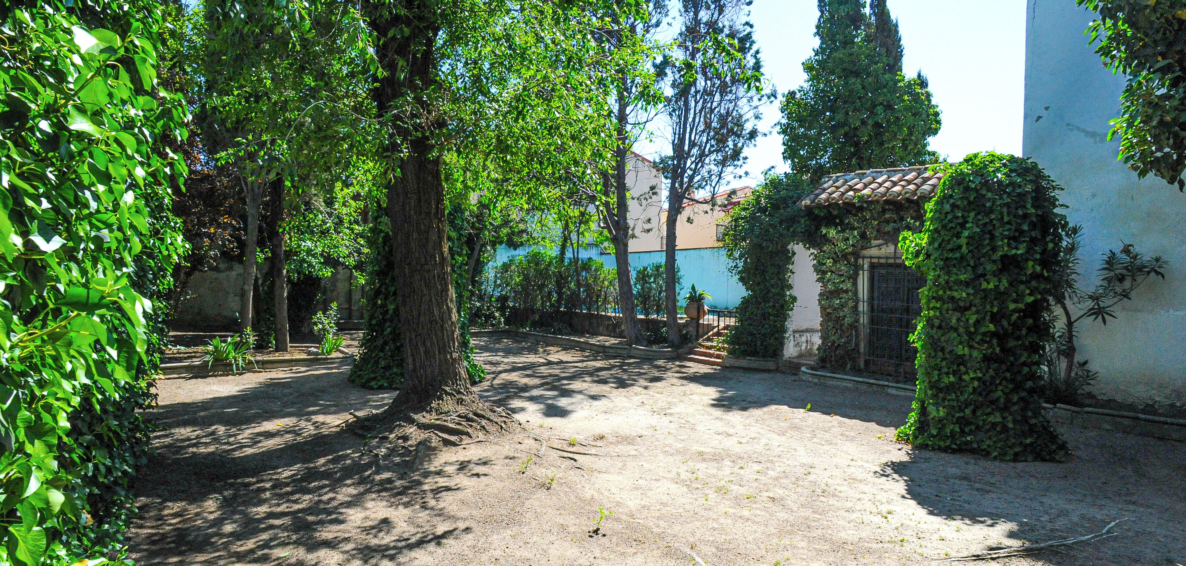 Une cour avec des arbres, une structure dotée d’un toit en tuiles et un bâtiment avec un mur bleu.