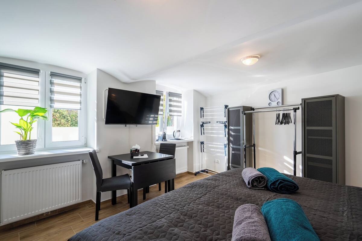 Ein Hotelzimmer mit Bett, Schreibtisch, Fernseher, Heizkörper, Pflanze und Kleiderschrank.