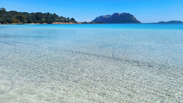 A clear beach with shallow water and a distant mountain. - Relaxation and comfort come together in an oasis of peace. Authentic Sardinia is waiting for you! (Porto Istana)
