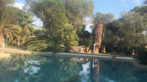 A clear swimming pool surrounded by lush greenery and trees. - "Elegance and Space: A House of Exception (Fréjus)