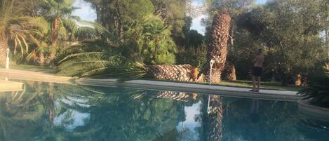 Piscine