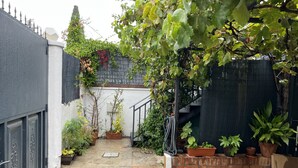 Un patio estrecho con pared de ladrillo, una reja negra y macetas con plantas.