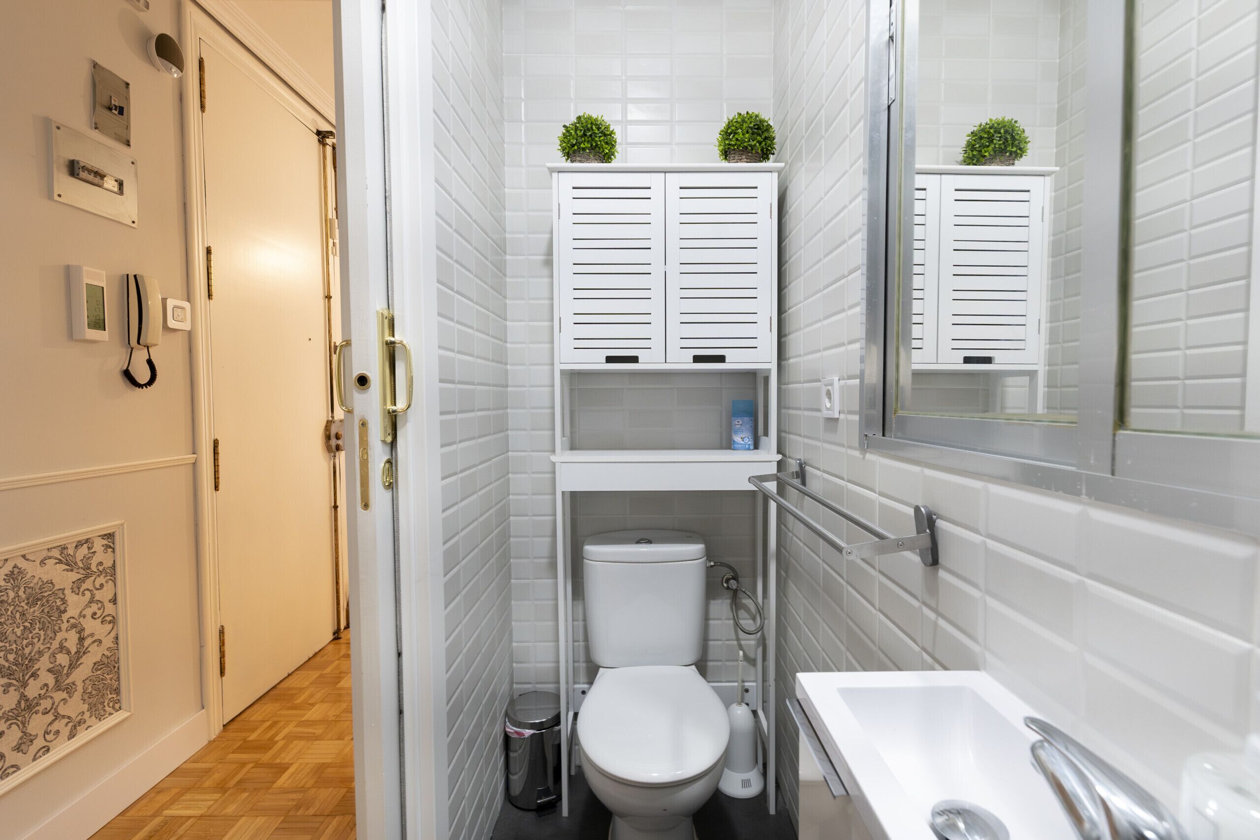Baño pequeño con inodoro, lavabo y dos plantas en los estantes.