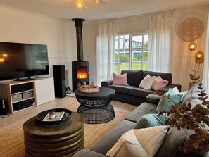 TV, fireplace, DVD player, books