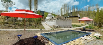 House Of Stok