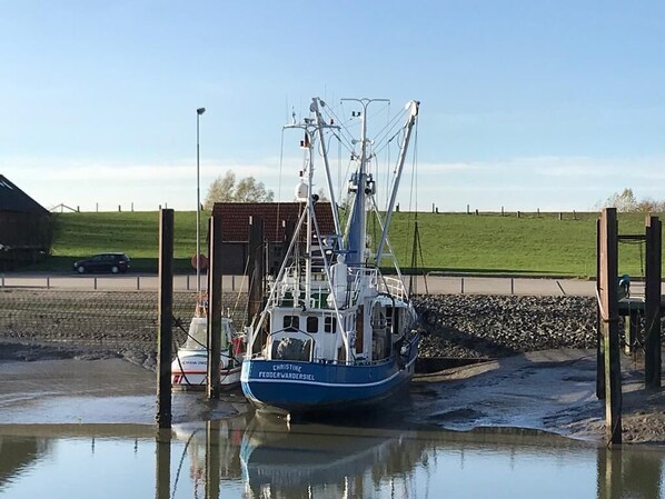 Marina - This spacious Mediterranean-style vacation home is located in Aida Park in the North Sea resort of Tossens. (Tossens)