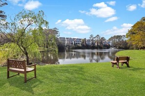 Terrain de l’hébergement 