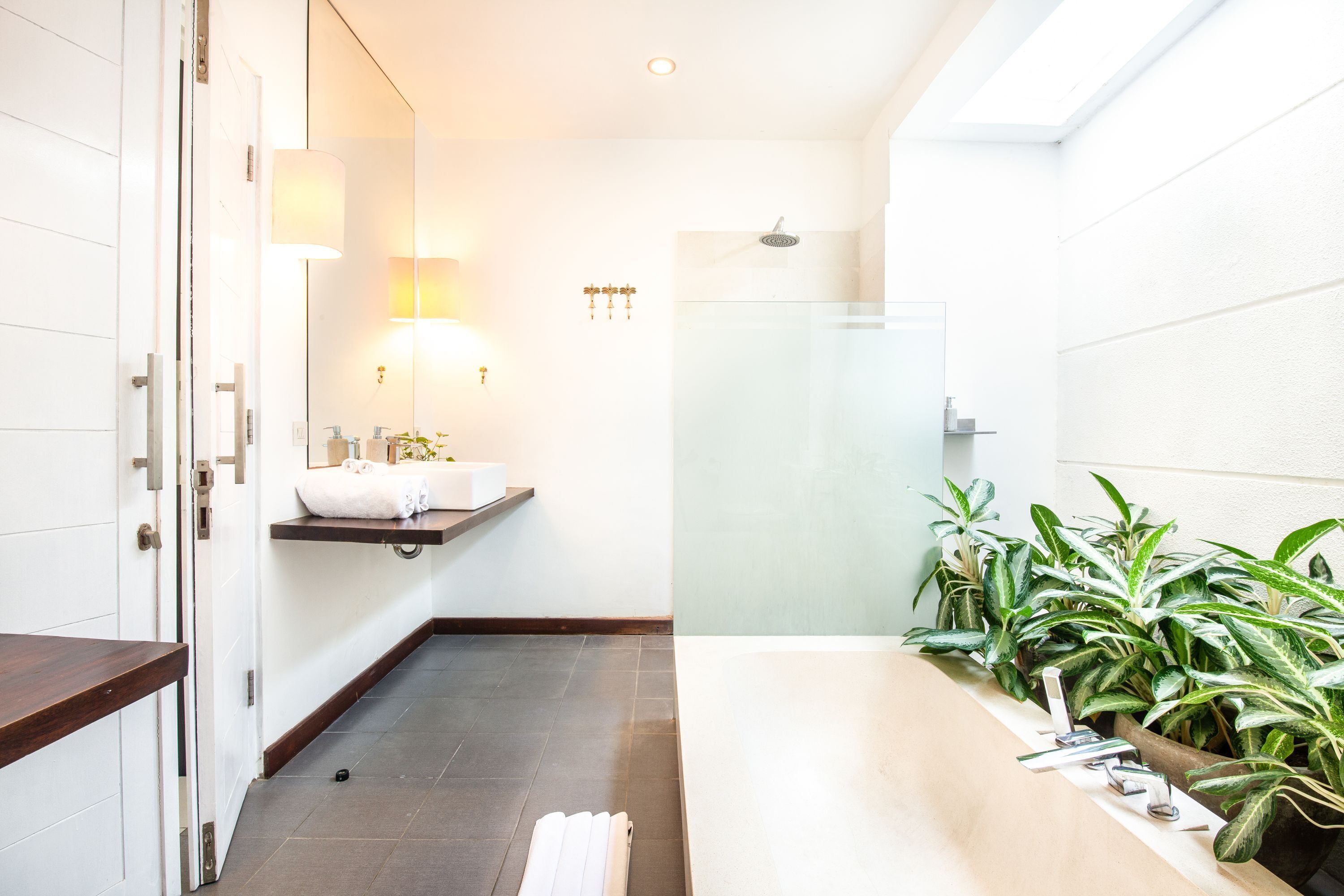 A modern bathroom with a glass shower, a wooden vanity, and a potted plant arrangement.