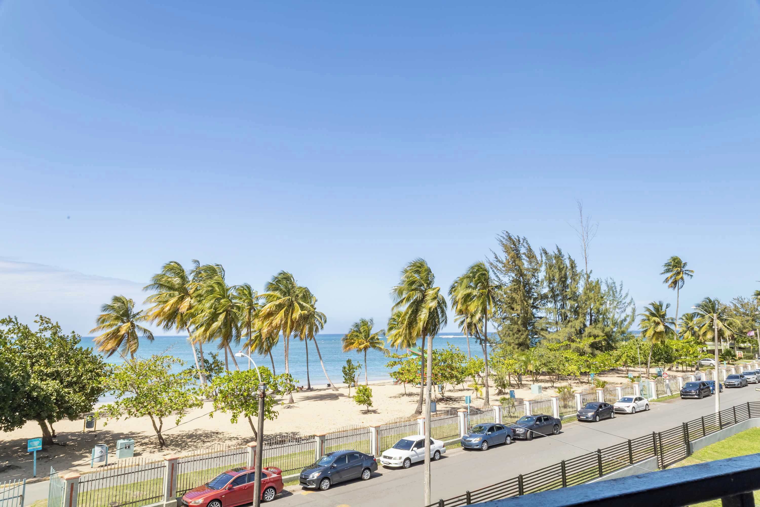 A beachside parking area with cars, palm trees, and a view of the ocean.