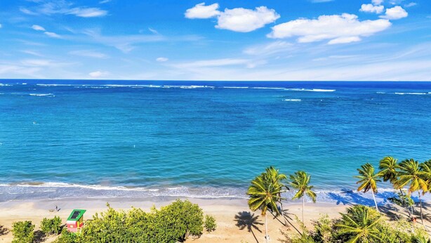 A beach with clear blue water, palm trees, and a small building with a green roof.