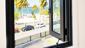 A window with a view of a beach, palm trees, and parked cars.